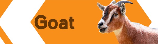 Petzone Banner