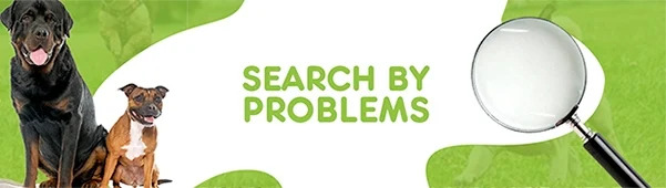 Petzone Banner