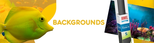 Petzone Banner