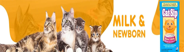 Petzone Banner