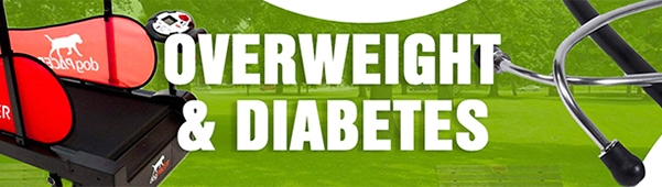 Petzone Banner