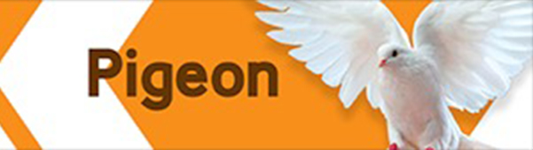 Petzone Banner