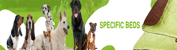 Petzone Banner