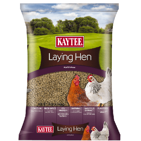 kaytee-laying-hen-diet-10lb