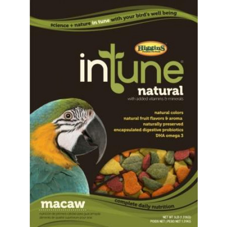 higgins-intune-macaw-3lbs