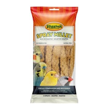 Higgins Spray Millet Natural Treat for Birds