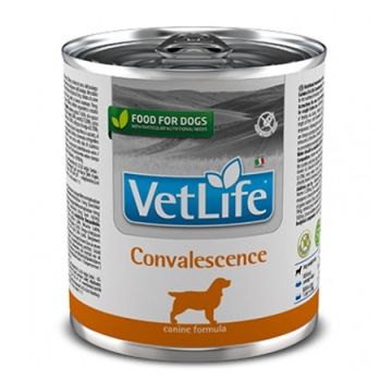 Farmina Vet Life Natural Diet Dog Convalescence, 300g