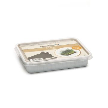 Beeztees Grass For Cat - 130g