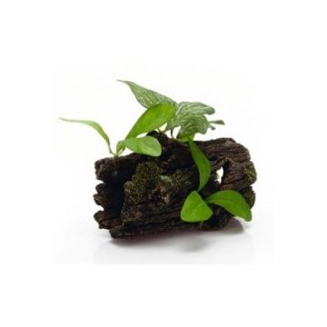 Beeztees Polyresin Thick Tree Stump With Plants