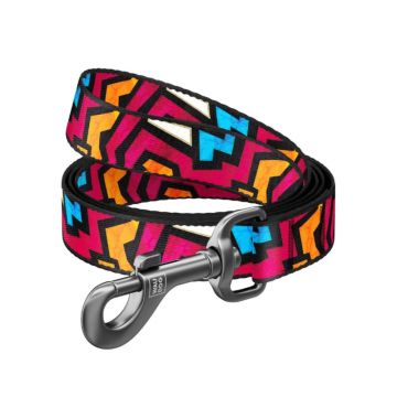 Collar Company Waudog Nylon Dog Leash - Graffiti- 20mm 122cm