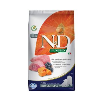 Farmina N&D Pumpkin Lamb and Blueberry Medium and Maxi Dry Puppy Food - 12 kg