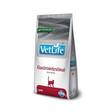 Farmina Vet Life Gastrointestinal Dry Cat Food - 400 g