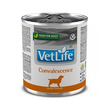 Farmina VetLife Convalescence Canned Dog Food - 300 g