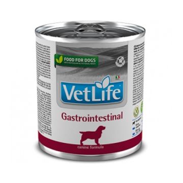Farmina Vet Life Natural Diet Dog Gastrointestinal, 300g