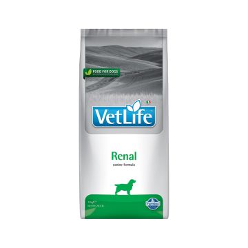 Farmina Vet Life Renal Canine Formula Adult Dry Dog Food - 12 kg