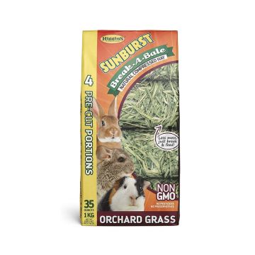 Higgins Sunburst B-A-B Orchard Grass - 35 oz