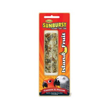 Higgins Sunburst Stick Fruit Island for Conure & Parrot - 2 Oz