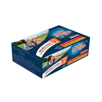Miglior Cane Multipack Wet Dog Food - 150 g x 4 