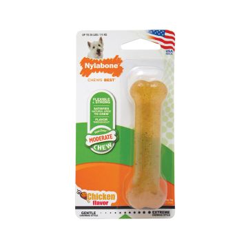 Nylabone Moderate Chew Chicken Chew Toy - Regular