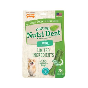 Nylabone Nutri Dent Fresh Breath - Mini - 78 Count