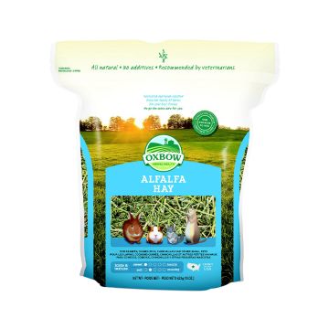 Oxbow Alfalfa Hay Small Animal Food - 425 g