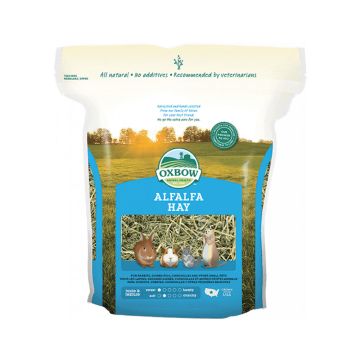 Oxbow Alfalfa Hay Small Animal Food - 9 lbs