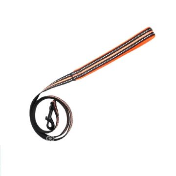 Pawise Reflective Soft Dog Leash - Orange