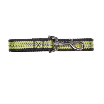 Pawise Reflective Soft Dog Leash - Green