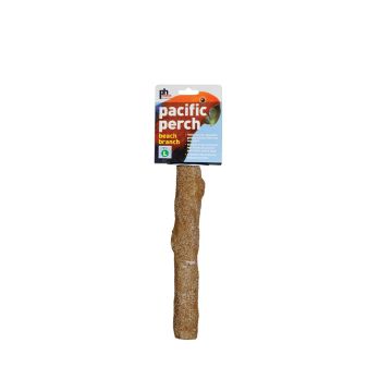 Prevue Beach Branch Bird Perch - Medium