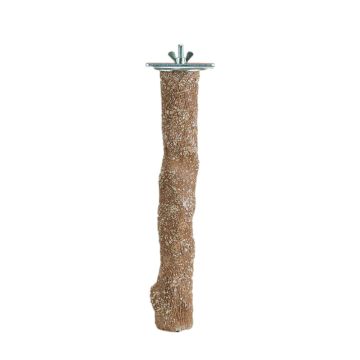 Prevue Beach Branch Bird Perch - Small