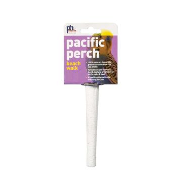 Prevue Beach Walks Perch - Assorted Sizes