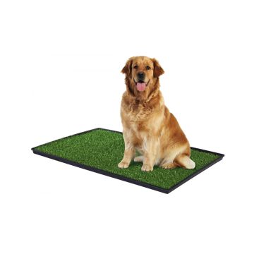 Prevue Tinkle Turf for Dog - Large