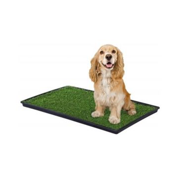 Prevue Tinkle Turf for Dog - Medium