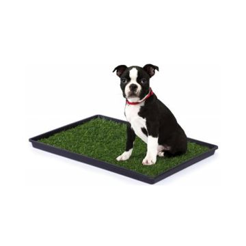 Prevue Tinkle Turf for Dog - Small