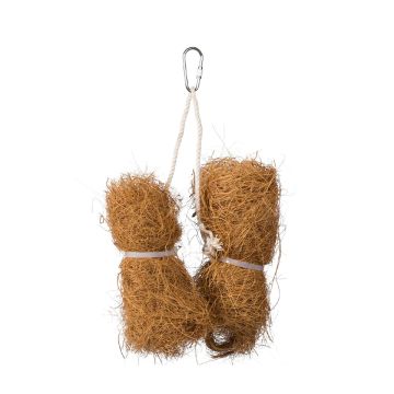 Prevue Tropical Teasers Coco Bundles