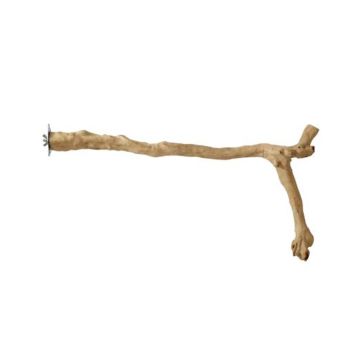 Prevue Y-Shape Coffea Wood Perch - 24"