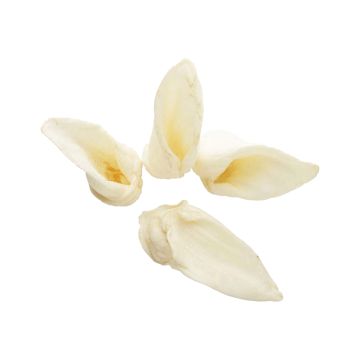 Redbarn Lamb Ear Dog Treat - 1 Count