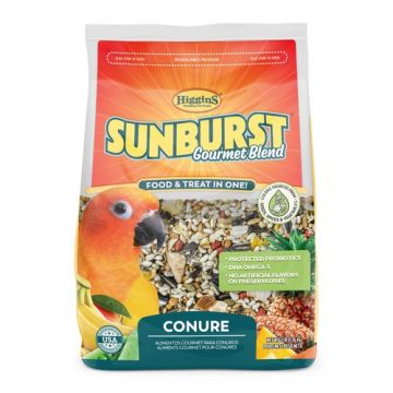 Higgins Sunburst Conure, 25 lb