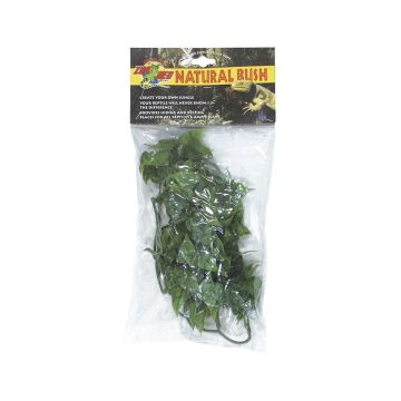Zoo Med Mexican Phyllo Natural Bush Plants - Small 