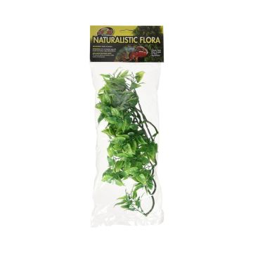 Zoo Med Natural Bush Mexican Phyllo Plants Green