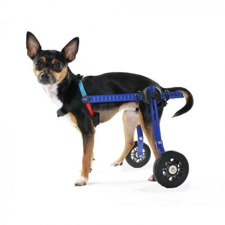 Walkin' Pets Mini Dog B1 Wheelchair with Plastic Wheels - 2 inches
