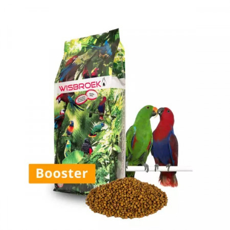 Wisbroek Parrot Fruit Blend Booster, 10 Kg
