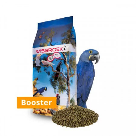 Wisbroek Parrot Nut Blend Booster, 10 Kg
