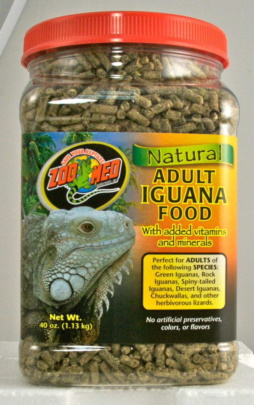 iguana food Adult