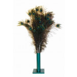 Vee Natural Peacock Feathers Cat Toy 