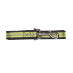 Pawise Reflective Dog Leash - Green - Small